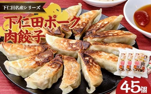 「下仁田名産シリーズ」 下仁田ポーク肉餃子 45個（15個×3袋） 餃子 ぎょうざ ギョーザ 中華 冷凍餃子 おかず おつまみ 惣菜 マツコの知らない世界 F21K-487