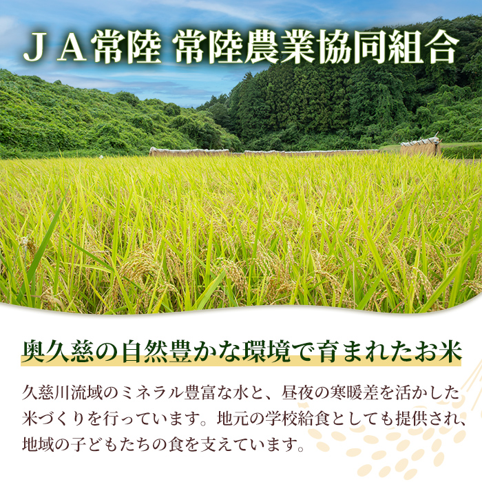 常陸大宮産 ゆめひたち 5kg 米 お米 令和7年 精米 白米 こめ コメ ご飯 ごはん ゆめひたち 5kg 5キロ 【JA常陸 陸農業協同組合】【ho1697】