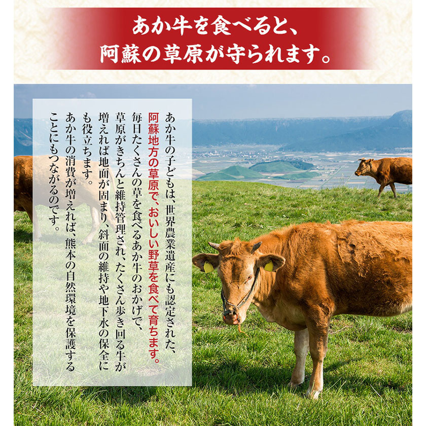 【6ヶ月定期便】熊本県産 あか牛 ハンバーグ 10個 南阿蘇食品 《お申込み月の翌月より発送開始》 定期 計6回お届け 牛肉 肉---sms_fmshbtei_23_76500_mo6num1---