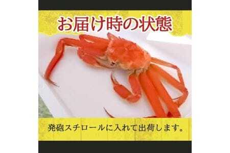 1138　遊佐沖　春のボイル・本ズワイガニ 1匹500g程度