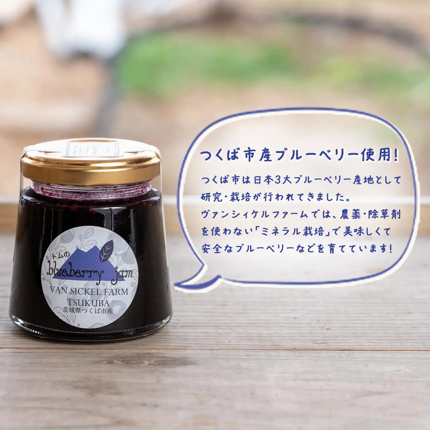 【ジャム】ブルーベリー&キウイジャム 計4本 560g