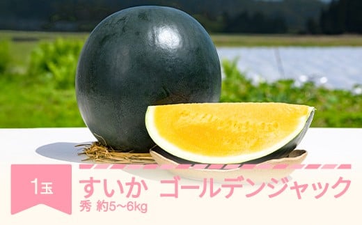 
            【先行予約】 すいか ゴールデンジャック 1玉 5kg~6kg 2026年産 令和8年産 ※沖縄・離島への配送不可 no-sugjx1
          