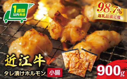 【1週間以内発送】味付けホルモン　秘伝のタレ漬け　近江牛小腸　900g（300g×3）【FO74W】