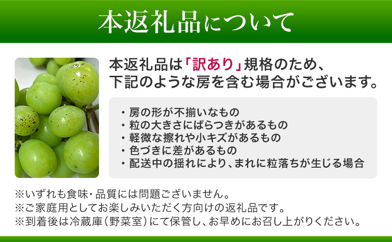 【先行予約】【訳あり・食べ比べ】長野県産 シャインマスカット＆種あり巨峰セット 約1kg（シャインマスカット1房・巨峰2～3房）家庭用 味は問題なし 季節のフルーツ 果物 信州産