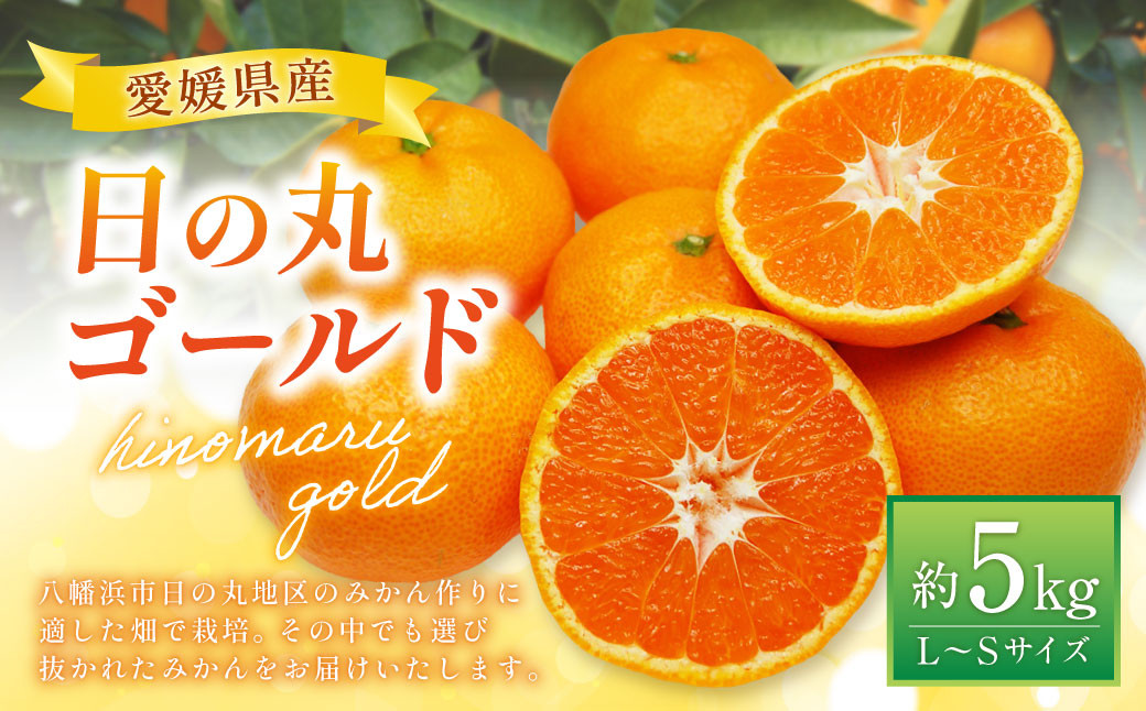 
            みかん （日の丸ゴールド） L～Sサイズ （約5kg） みかん 蜜柑 柑橘 果物 くだもの フルーツ 【2025年11月下旬～2025年12月下旬発送予定】(519)
          