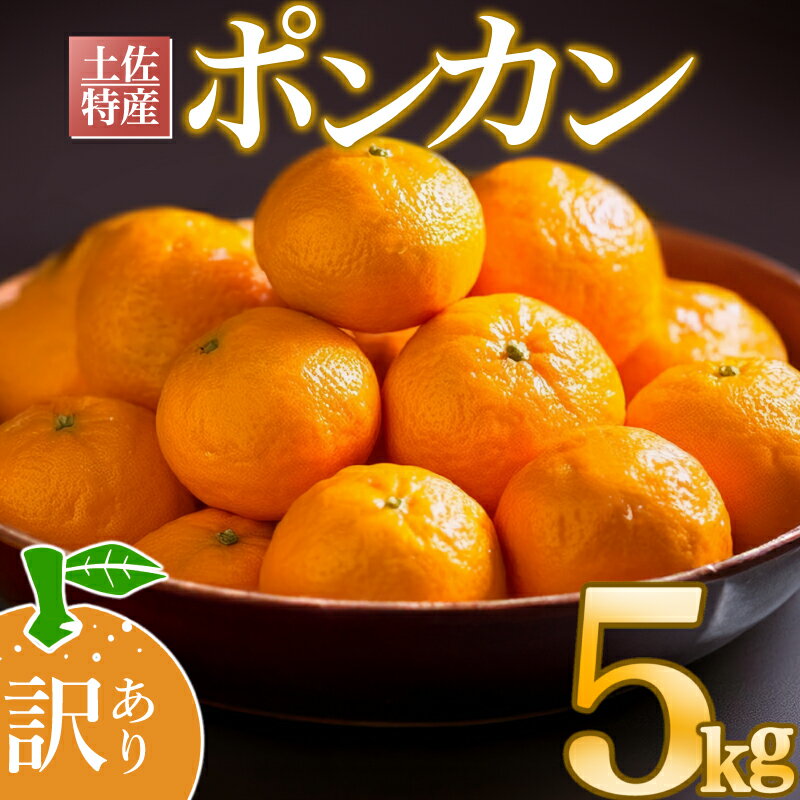 【ふるさと納税】 早期予約開始 1月下旬より順次発送 訳あり ぽんかん 5kg サイズ混合 柑橘 みかん 蜜柑 家庭用 高知県 須崎市 フルーツ 果物 ふるさと納税 ふるさと納税 ぽんかん