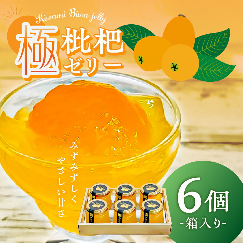 【ふるさと納税】 極枇杷ゼリー6個箱入 千葉県 南房総市 房州びわ ゼリー 果物 ギフト 富浦 道の駅 とみうら 枇杷倶楽部 スイーツ お菓子 おやつ 甘味 果肉 半実 みずみずしい 送料無料