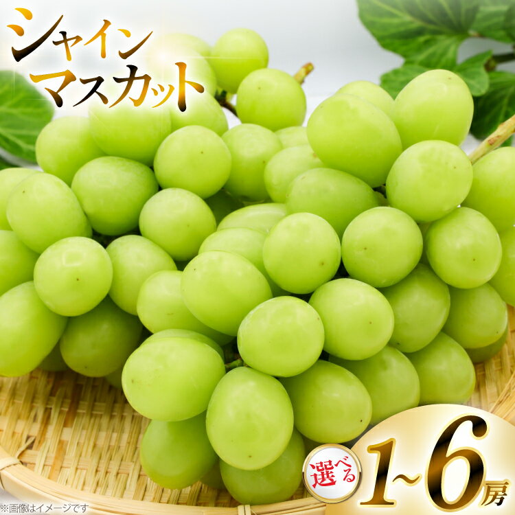 【ふるさと納税】【期間限定発送】 シャインマスカット 選べる内容量 約650g〜約3kg [山形県 高畠町 いわた果樹園] ぶどう ブドウ 葡萄 フルーツ 果物 くだもの 甘い
