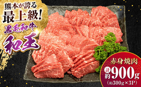 熊本県産 A5等級 黒毛和牛 和王 柔らか赤身焼肉 約300g×3P 計約900g 焼肉 焼肉 焼肉 焼肉 焼肉[AYCH094]