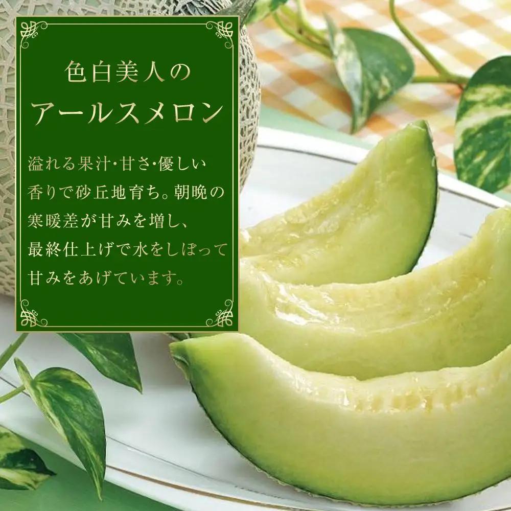 石川県産 アールスメロン 1.3kg×2個（計約2.6kg）高級ネットメロン フルーツ ギフト