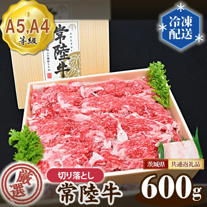 【ふるさと納税】No.011 常陸牛 厳選！切り落とし 600g（A5・A4等級）＜茨城県共通返礼品＞ ／ 黒毛和牛 高級牛肉 送料無料 茨城県