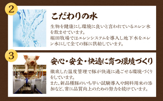 【定期便２回】 飛騨牛＆納豆喰豚 お楽しみ定期便（しゃぶしゃぶ用、焼肉用）天狗 なっとく豚 飛騨牛 牛 牛肉 焼き肉 しゃぶしゃぶ 食べ比べ 定期便 2カ月 定期下呂温泉 おすすめ 豚肉 なっとくとん ブランド豚 国産  ギフト 岐阜県 下呂市