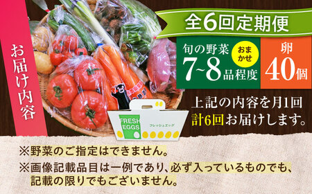 【全6回定期便】【数量限定】【新鮮たまごと旬の野菜セット(野菜7から8品程度＋40個) / たまご 生卵 タマゴ 詰合せ セット 熊本県 特産品【有限会社さんふれあ】[BHAK010]