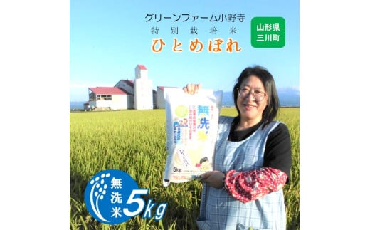 【令和7年産】《無洗米》グリーンファーム小野寺のひとめぼれ5kg　※10月中旬頃から順次配送予定