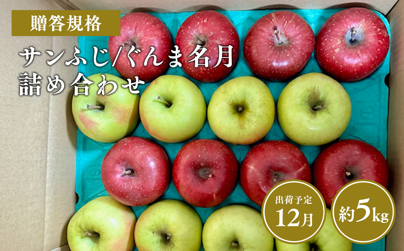 ≪令和8年産先行受付≫贈答用 サンふじ/ぐんま名月 詰め合わせ約5㎏【青森県 平川市 山内ファーム】贈答 青森りんご りんご リンゴ 林檎 サンフジ ふじ 群馬名月 お取り寄せ 先行予約 果物 くだもの フルーツ