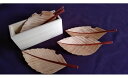 【ふるさと納税】木の葉の銘々皿　桧箱入り5枚セット トチ（栃）≪木製 トレイ 桧 ヒノキ ひのき キッチン インテリア 料理 お皿≫☆月間MVPふるさと納税賞 第1号（2020年10月）・SDGs未来都市亀岡