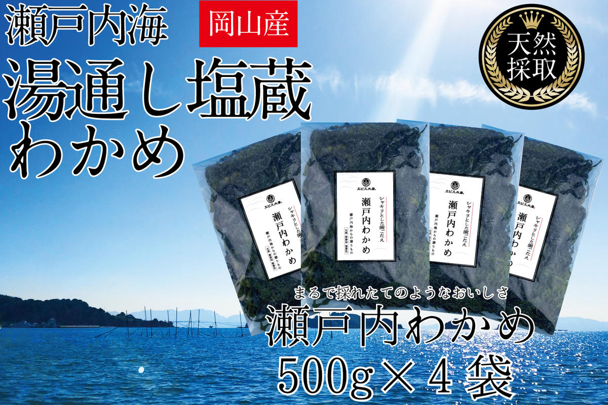 湯通し塩蔵 瀬戸内 わかめ 500g×4袋【岡山 瀬戸内海 天然 塩蔵】