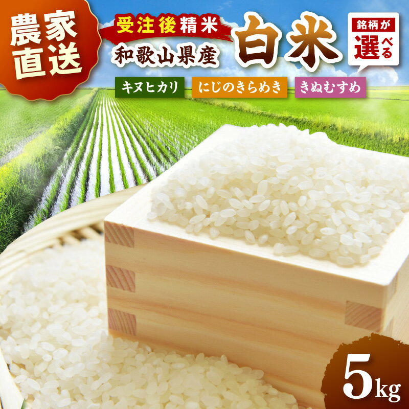 【ふるさと納税】令和7年産 和歌山県産 白米 選べる 銘柄 5kg キヌヒカリ にじのきらめき きぬむすめ