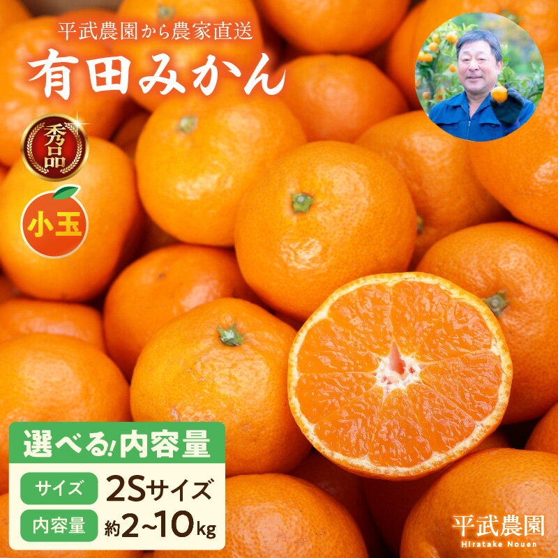 【ふるさと納税】有田みかん 2S サイズ 選べる 内容量 2kg ～ 10kg 秀品 小玉 早生みかん 晩生みかん 有田 みかん 温州みかん フルーツ 果物 果実 柑橘 甘い コク やみつき 国産 食品 食べ物 農家直送 お取り寄せ 和歌山県 湯浅町 平武農園 送料無料