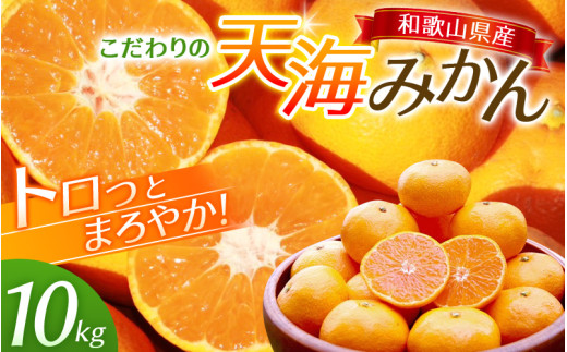 【先行予約】天海みかん 10kg ≪2026年11月より発送≫ 海藻肥料で育った 完熟 早生 みかん ミカン 蜜柑 柑橘 温州みかん フルーツ 果物 くだもの 産地直送 甘い 濃厚 10キロ 期間限定 人気 和歌山県 田辺市 【nak007-1】