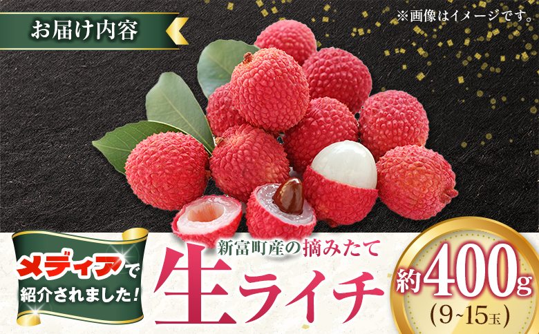 ＜数量限定＞新富町産 ライチ（約400g）国産 フルーツ 果物 贈答品【B704】