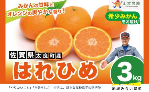 
            【佐賀県太良産】山本農園『はれひめ 3kg』（12月中旬～1月下旬出荷予定）
          
