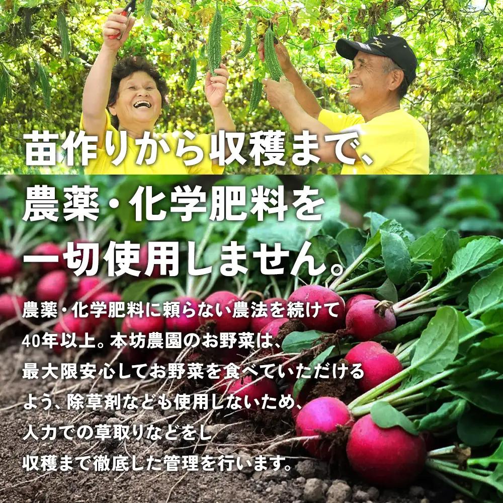 【12回定期便】特別栽培季節のお野菜セット 8品 野菜 無農薬 有機栽培 新鮮 やさい 旬 詰合せ 国産 宮崎県 九州 送料無料