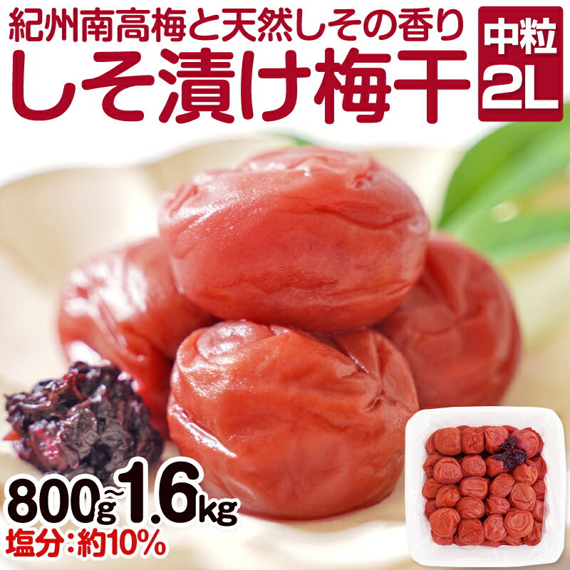 【ふるさと納税】しそ漬け梅干し(紀州南高梅)800g・1.6kg 中粒 2L 和歌山県産 梅干し 梅干 うめぼし しそ梅 しそ 送料無料 ふるさと納税 梅干し 減塩