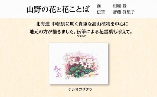 絵葉書 はがき オリジナル 10枚 セット ハガキ 可愛い ギフト 風景 花 植物