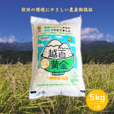 
            長野県産 越百黄金米(精米)5kg【1575178】
          