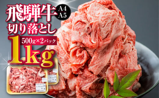 飛騨市産 厳選 飛騨牛 切り落とし 切落し A4・A5ランク 500g×2 1kg 牛肉 和牛 肉 a4 a5 牛丼 すき焼き 焼肉 カレー