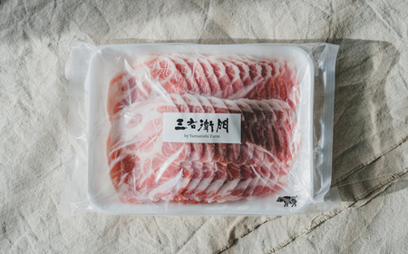 No.231 【定期便6回】山西牧場　ぶたづくしセット