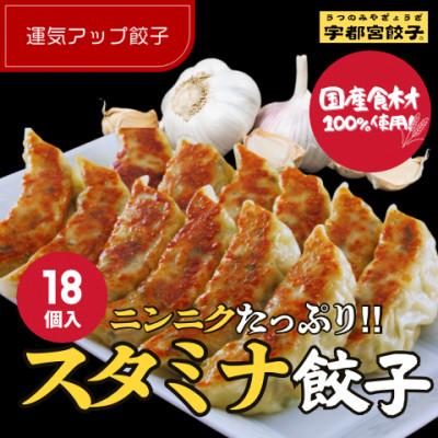 ふるさと納税 宇都宮市 宇都宮餃子 運気アップ餃子　スタミナ餃子18個　保存料不使用