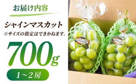 【先行予約】【訳あり】 シャインマスカット 約700g(1?2房)  マスカットフルーツ 果物 ぶどう【合同会社 社方園】[ZBZ027]