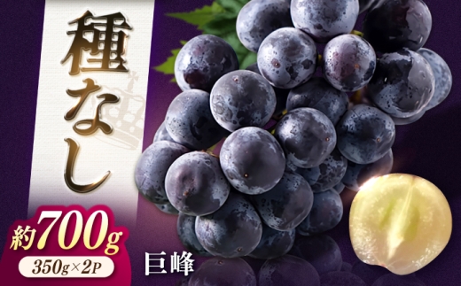 【★先行予約★ 2026年7月中旬以降発送】種無し巨峰 2パック（約700g）ぶどう 広川町 / JAふくおか八女農産物直売所どろや [AFAB116]