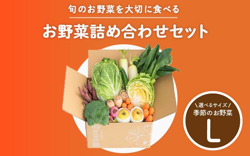多数のメディアで紹介されました！【訳あり】旬のもったいないお野菜詰め合わせセット Lサイズ