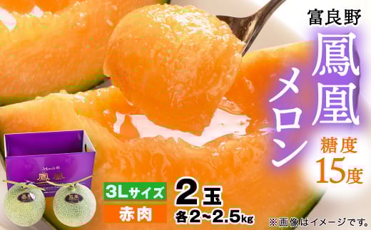 ＜2026年発送＞糖度15度 富良野鳳凰メロン(赤肉)　2玉　各2～2.5kg(3Lサイズ)【1398077】