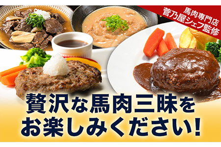 菅乃屋シェフのお惣菜詰め合わせ 4種セット 合計約1.6kg 千興ファーム《60日以内に出荷予定(土日祝除く)》馬肉専門店 監修 惣菜 お惣菜 セット 馬肉ハンバーグ 馬肉デミハンバーグ 馬スジ煮込み 馬もつ味噌煮込み 熊本県 御船町---sm_fsfsouzai_60d_23_13500_4set---