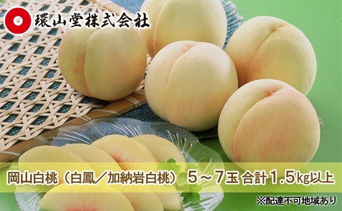 
                  桃 2027年 先行予約 岡山 白桃（品種：白鳳／加納岩白桃）5～7玉 合計1.5kg以上 もも モモ 岡山県産 国産 フルーツ 果物 ギフト 環山堂 直射日光 有袋栽培 上品 甘み 香り 豊か とろける 果汁 贈り物
                