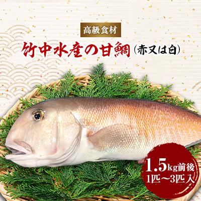 ふるさと納税 八幡浜市 竹中水産の「甘鯛(赤又は白)1.5キロ前後」【H22-261】