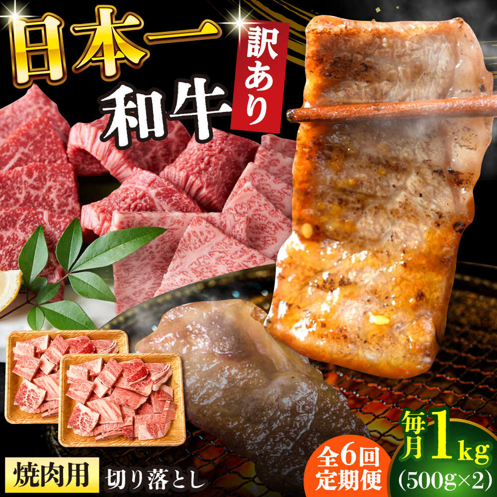 【ふるさと納税】【全6回定期便】【訳あり】【A4〜A5】長崎和牛焼肉切り落とし(肩ロース・バラ）　1kg（500g×2p）【株式会社 MEAT PLUS】[DBS047]