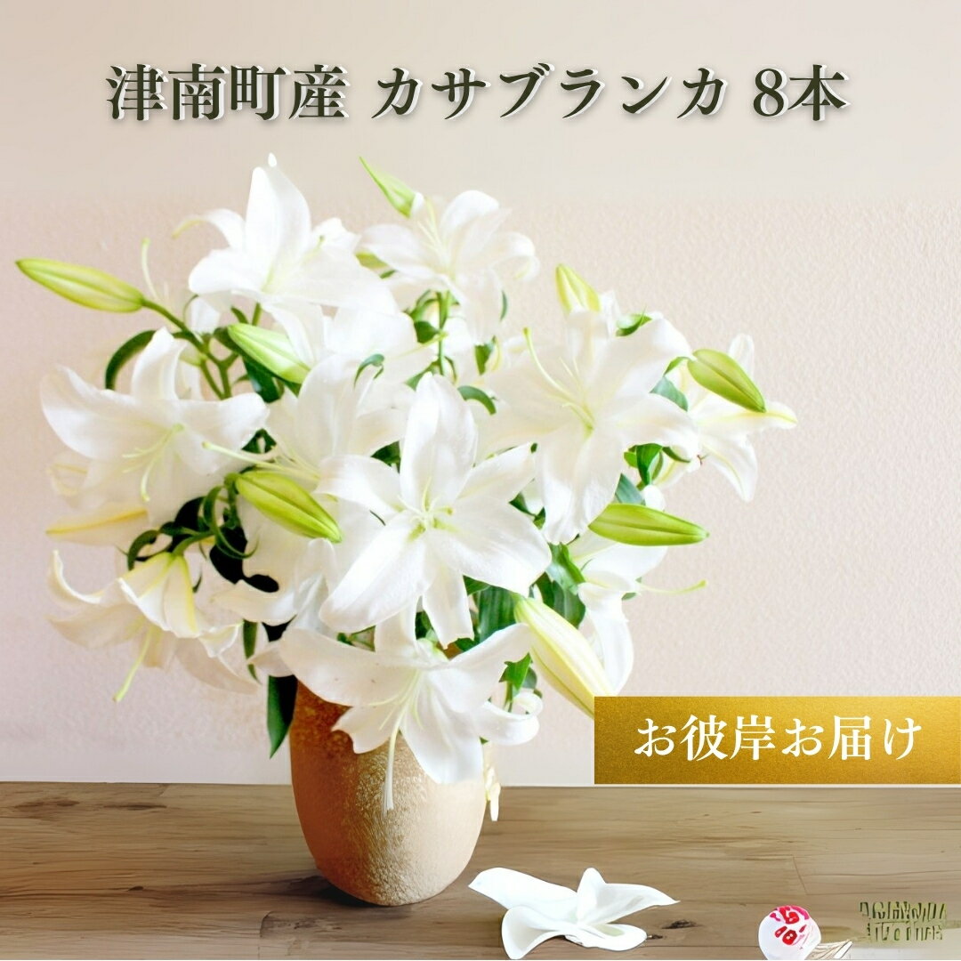 【ふるさと納税】【2025年秋彼岸お届け】カサブランカ 8本セット ユリ ユリの女王 オリエンタルハイブリッド 新潟県 津南町 名産 特産品