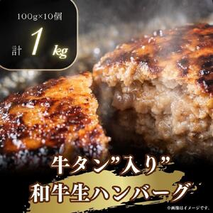 牛タン”入り”和牛生ハンバーグ　100g×10pc　合計1kg