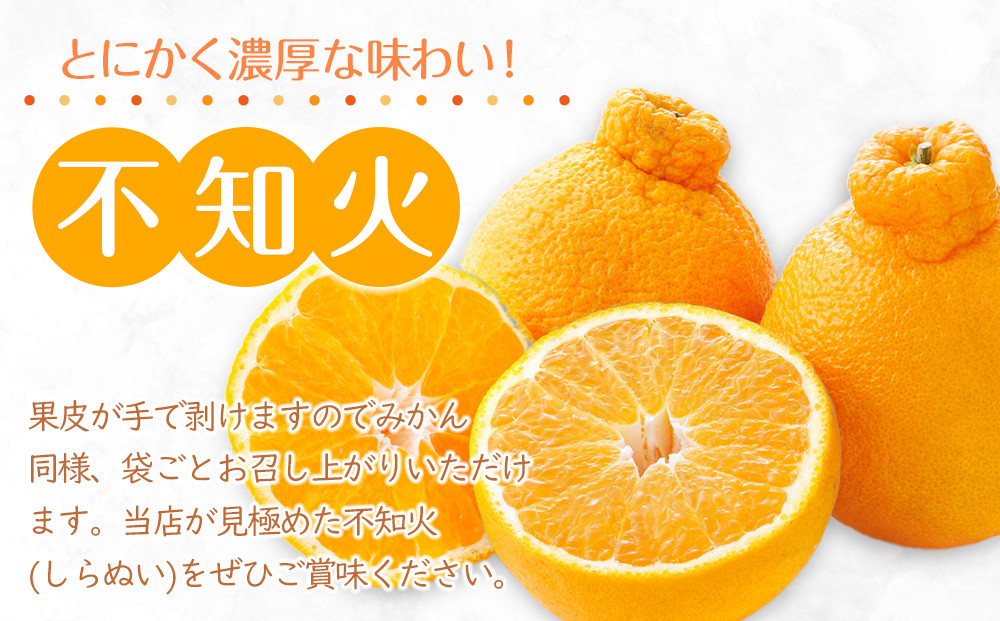 【2026年3月上旬より順次発送】厳選！濃厚甘味の「不知火(しらぬい)」約3kg