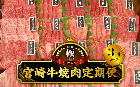 【定期便全3回】宮崎牛焼肉食べ比べ4種～8種盛り 合計800g 焼肉 最高級 ブランド