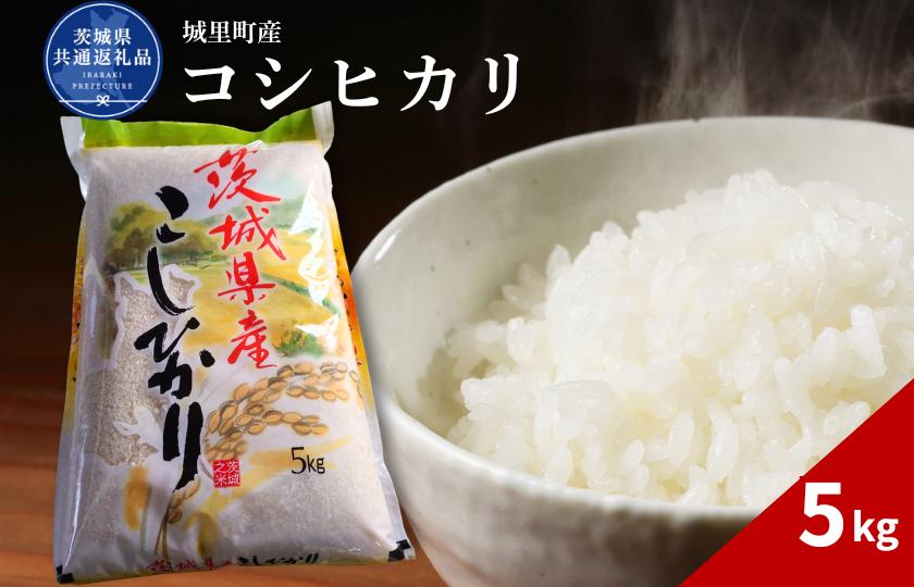 
                  コシヒカリ 5kg（茨城県共通返礼品・城里町産） / 米 こめ コメ お米 おこめ コシヒカリ こしひかり 白米 精米 ごはん ご飯 令和7年産 5kg 茨城県 城里町 利根町
                