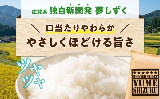 【12回定期便】 無洗米 夢しずく 10kg（5kg×2袋） 無洗米 お米 白米 精米 佐賀県産 米 /大塚米穀店 [UFE017]