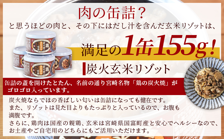 ＜鶏の炭火がゴロゴロ入ったシリーズ+訳あり炭火焼のセット（リゾット2缶 炭火鶏めしの素1袋・訳あり炭火焼4袋）＞準備でき次第翌々月までに順次発送【 訳あり レトルトパック 宮崎グルメ 宮崎特産 レトル