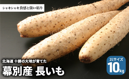 長いも 10kg 2Lサイズ シャキシャキ 長芋 長いも