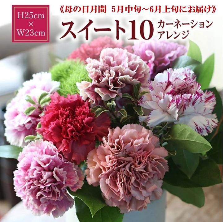 SL0254　【母の日2025】遅れてごめんね 「スイート10 カーネーションアレンジ」ありがとうママ